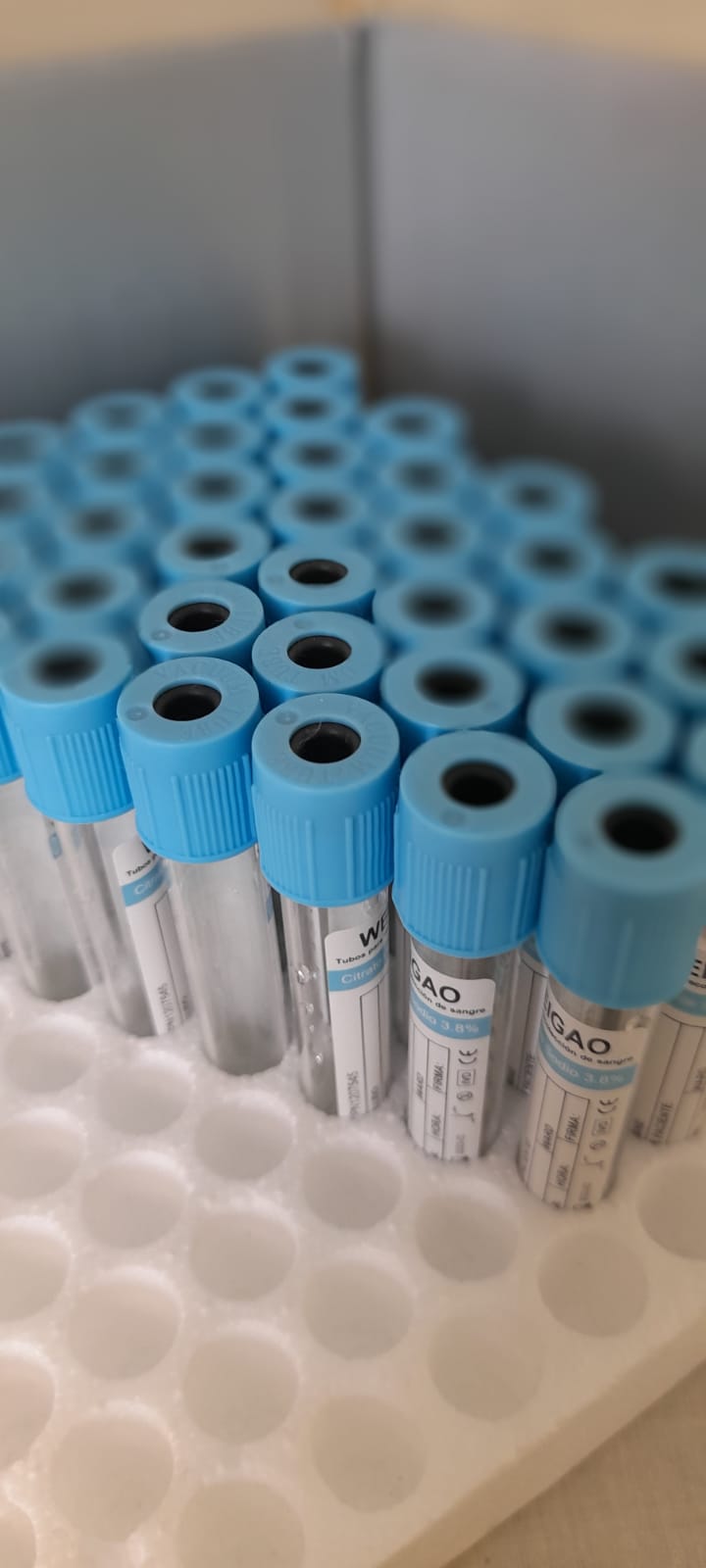 Plasma rico en Plaquetas